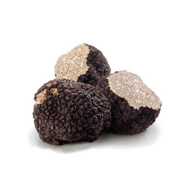 Black Summer Truffle
