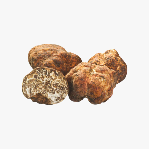 White Spring Truffle