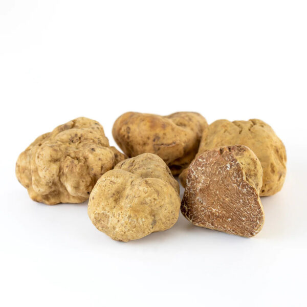 White Truffle